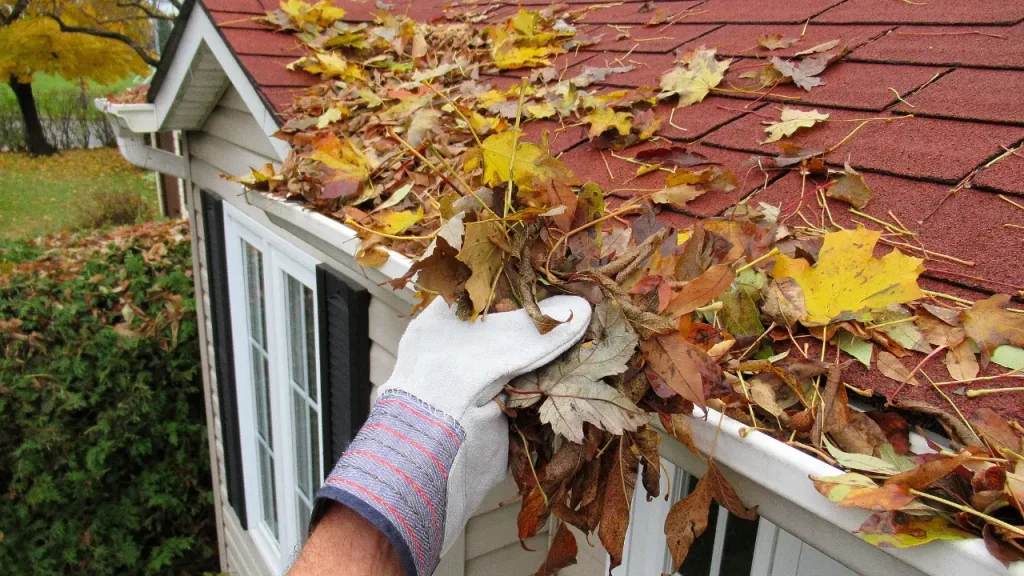 löv som rensas bort från hängrännor och stuprör